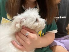 -鹤之乡·齐齐哈尔烤肉·非遗(秋涛路店)