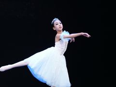 -中央芭蕾舞团·中芭艺蕾(酒仙桥明星校区)