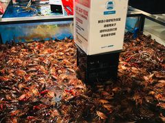 -盒马鲜生(和谐广场店)