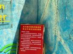 -广东惠东海龟国家级自然保护区