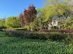 -春晖园度假酒店温泉