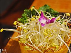 火锅豆芽-匠岳·王宝器麻椒鱼(会展中心店)