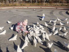 -南宫五洲植物乐园