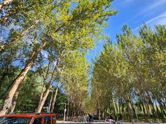 -吉林大学(前卫南校区)