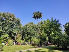 -中国科学院西双版纳热带植物园