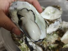 -爱蚝屋