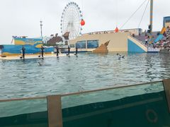 -秦皇岛乐岛海洋王国