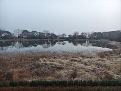 -上海市保健医疗中心