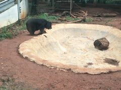 -昆明动物园