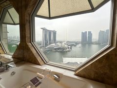-新加坡丽思卡尔顿美年酒店