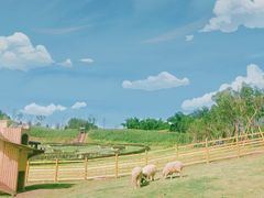 -黄龙溪欢乐田园