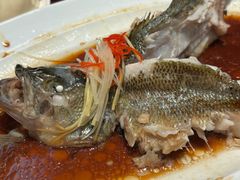 -饭怕鱼·黄焖鲟龙鱼(湖大店)