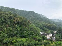 -雁南飞茶田景区