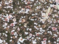 -白塘生态植物园