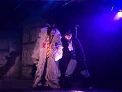 -东京塔海贼王主题公园