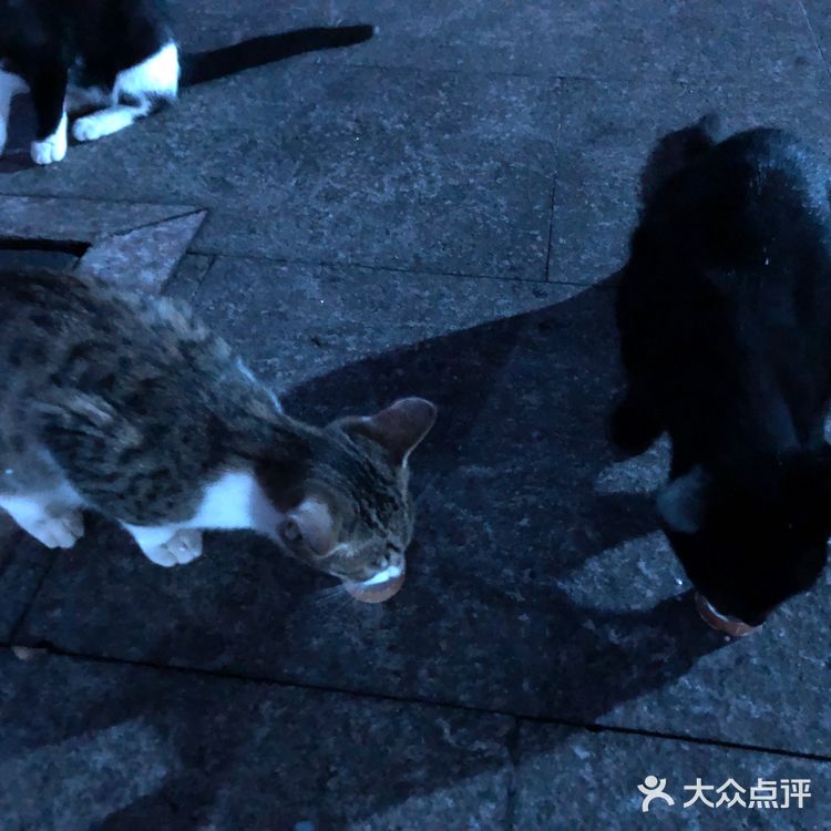 随手拍，生活片段。