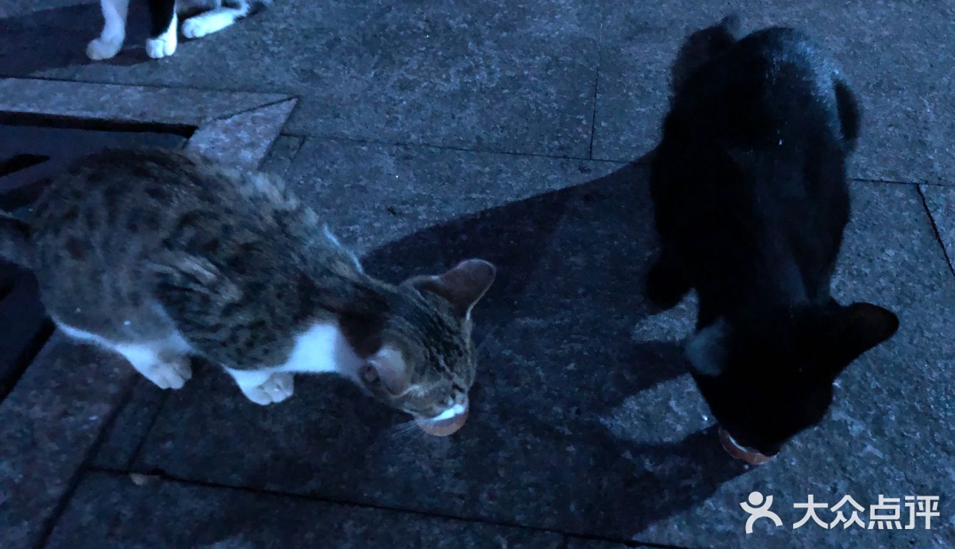 随手拍，生活片段。