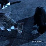 随手拍，生活片段。