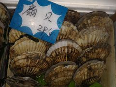 大扇贝-黄寺蒸汽海鲜(黄寺大街店)
