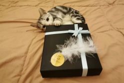 -飛凡TATTOO纹身•原创