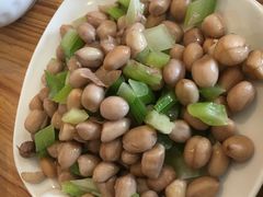 -苏氏牛肉面(丰北桥店)