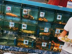 -范饭椰林川湘味海鲜·椰子鸡(三亚湾椰梦长廊店)