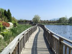 -羊亭河湿地公园