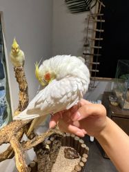 -Zoolung Zoolung动物主题公园(海信广场店)