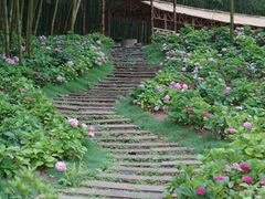 -宜兴龙背山森林公园