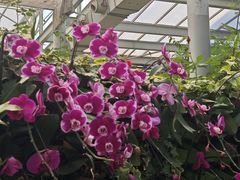 -沈阳植物园