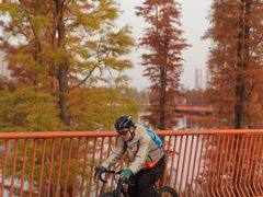 -白鹭湾湿地公园