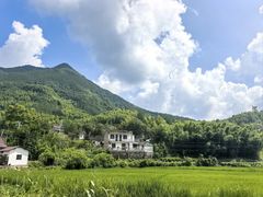 -黄牛肉馆·皖南土菜