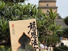 -大慈恩寺(大雁塔)