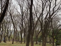 -玲珑塔公园