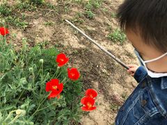 -汉长安城未央宫国家考古遗址公园