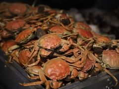 -青岛鑫江温德姆酒店