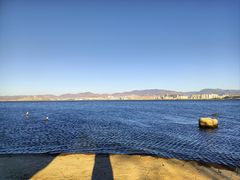 -洱海月湿地公园