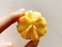 -珍妮曲奇聪明小熊(尖沙咀店)