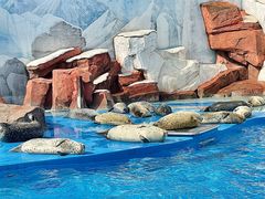 -上海海昌海洋公园