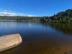 -五营红松林海景区