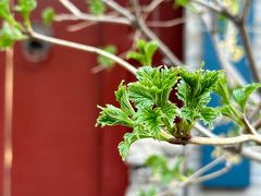 -晋商博物院