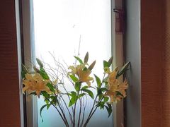 -千代武日本料理(爱建店)