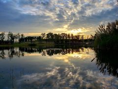 -白鹭湾湿地公园