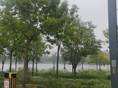 -东郊湿地公园