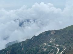 -白草畔自然风景区