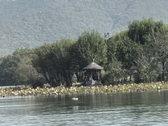 -湘湖大院(越王路店)