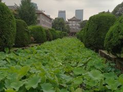 -四川大学(华西校区)