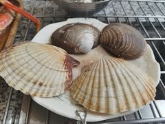 -震海贝烤贝·民俗特色店(延吉总店)