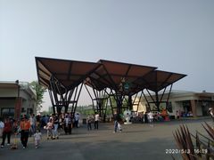 -上海长兴岛郊野公园