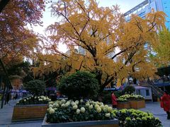 -牛班音乐学校(晶融汇购物中心店)